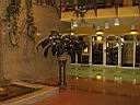 p1010167_pi2.jpg